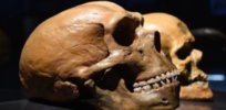Neanderthal human interbreeding