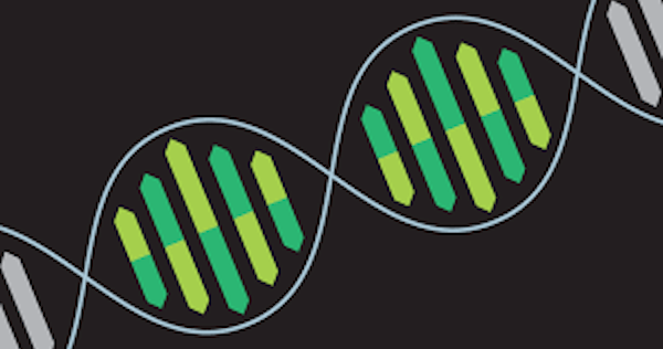 alleles