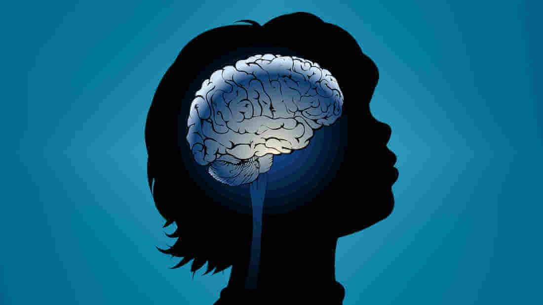 brain