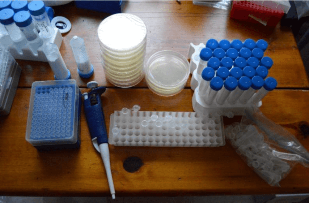 crispr