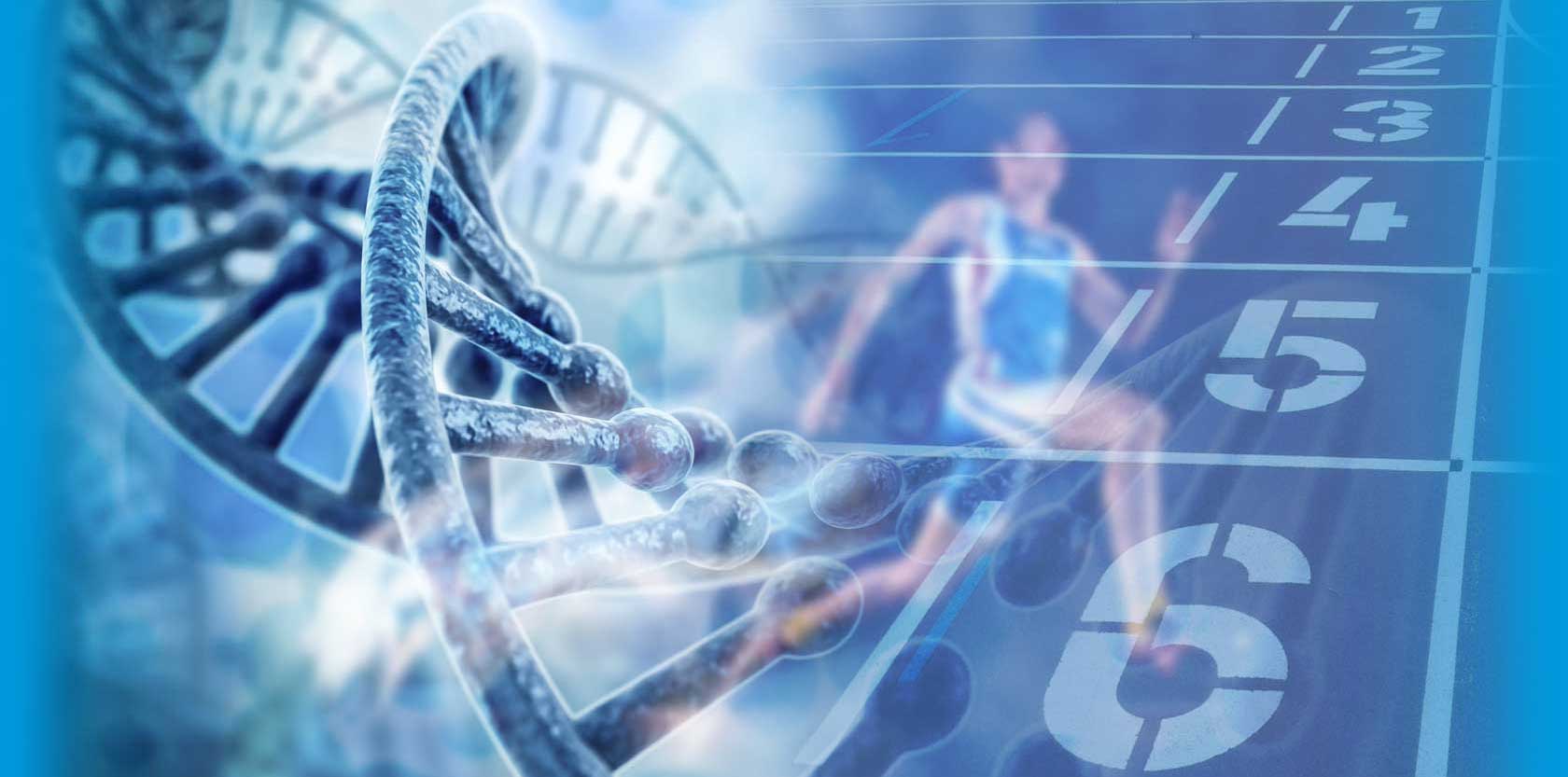 crispr flies from indroso accelerate your research