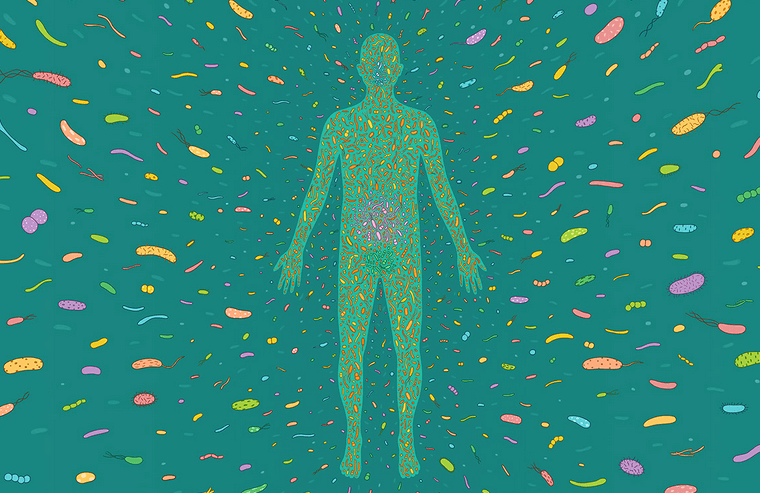 microbiome