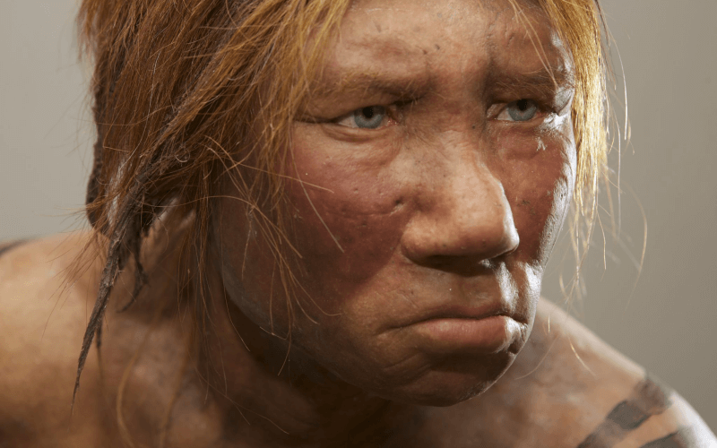 Startling Discovery Ancient Mixed Race Girl Had