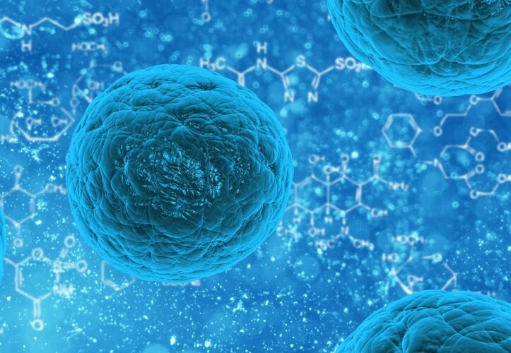 stem cell resized