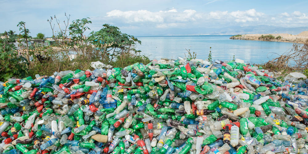 GMO bacteria could help resolve Africa's plastic pollution 'menace