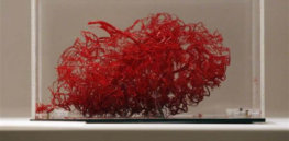 1-19-2019 d printed blood vessels could be key to sustaining lab grown tissue