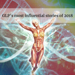 glp human influential