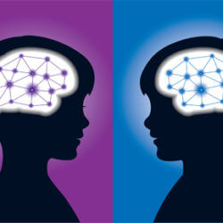 gender brains