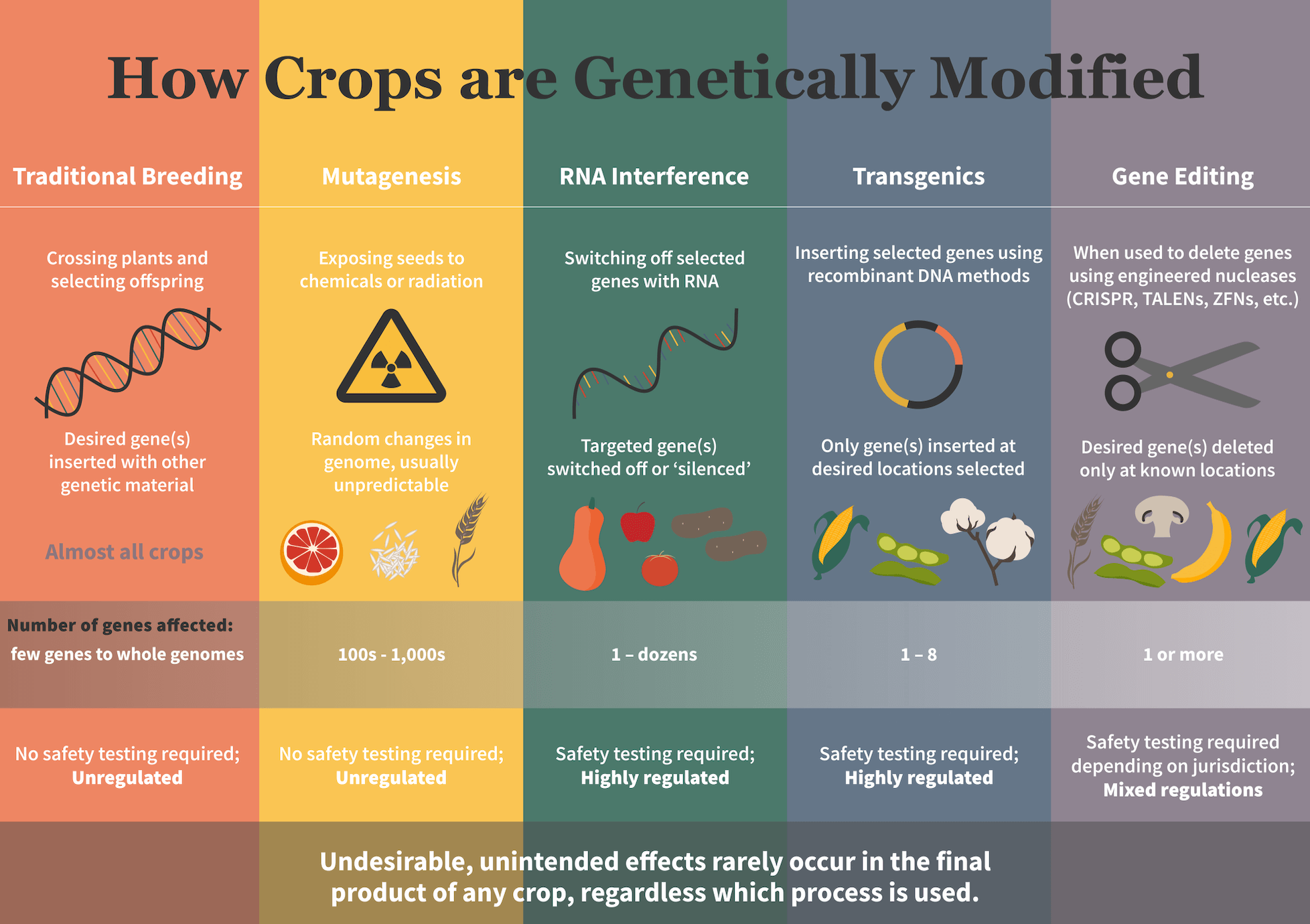 scientific research on genetically modified crops