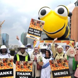 beekeepers afp
