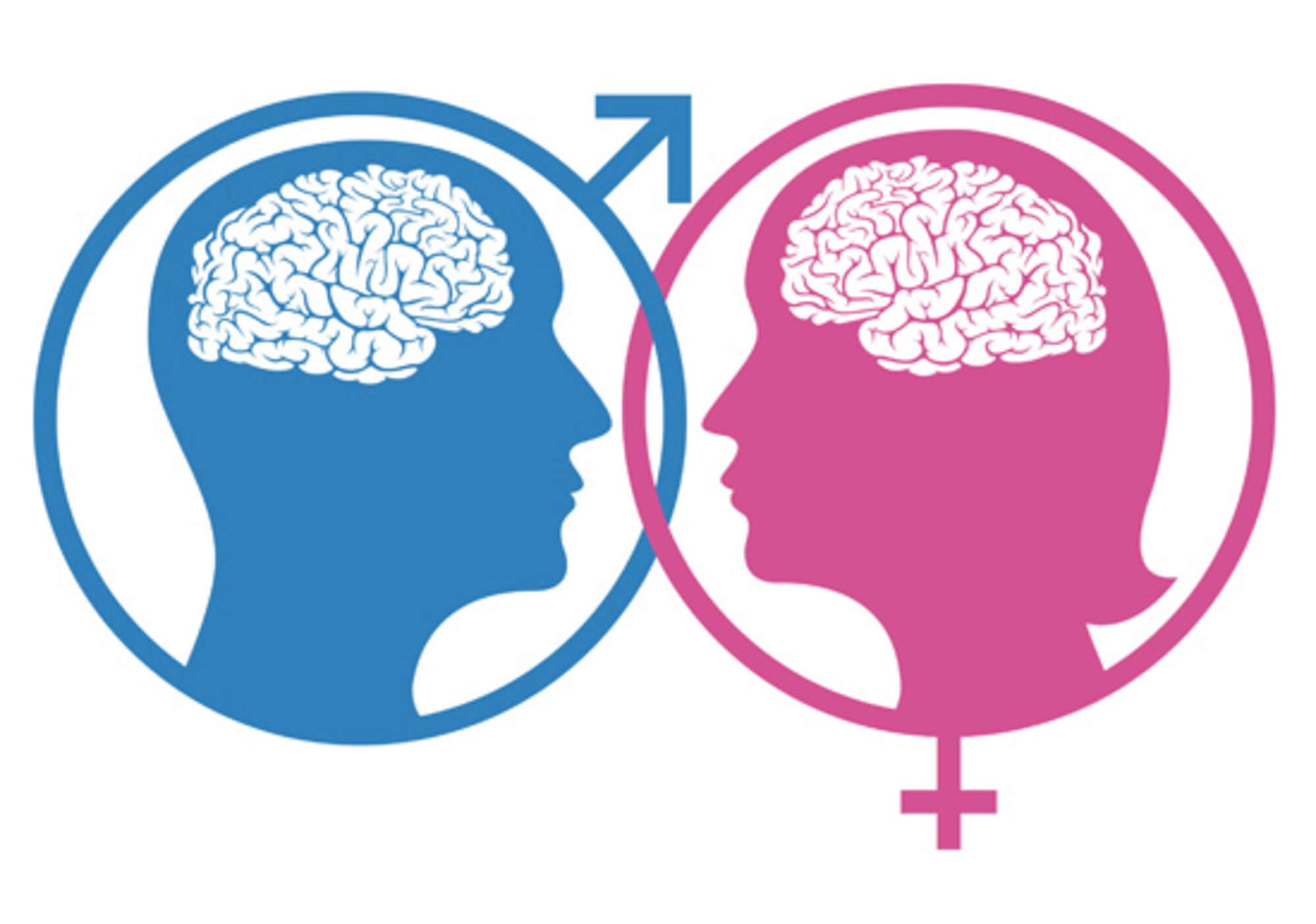 Viewpoint We Can T Ignore Scientific Evidence About Male Female Brain Differences Genetic