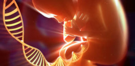 concept art of baby with dna