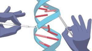 crispr opens the way for a new method of treatment genomic surgery