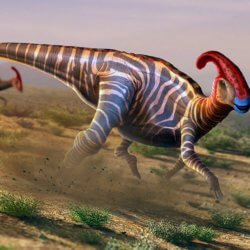 dinosaur full