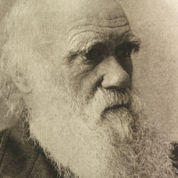 5-16-2019 crop darwin evolution