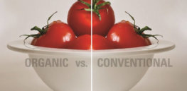 organic vs conventional prices