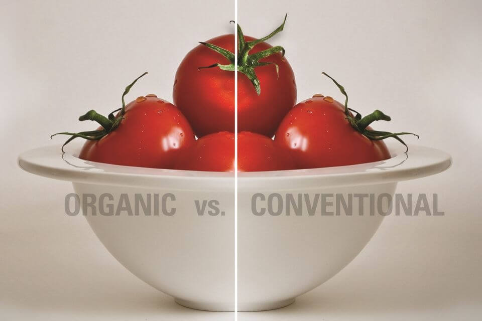 Organic Vs Conventional Which Farming Method Is More Sustainable A