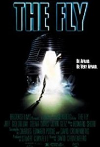 the fly