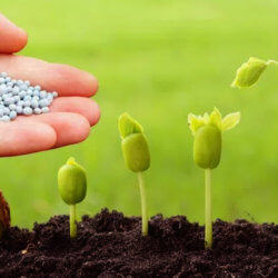 biopesticides