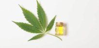 cbd oil cannabis leaf x