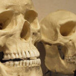opinion confronting creationism l