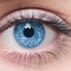 blindness causing genetic defect corrected using crispr