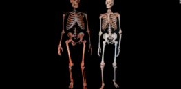 ancient finds neanderthal skeletons super