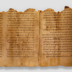 mt templescroll feat x