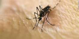 west nile mosquito exlarge