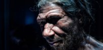 an unknown human ancestor may have mated with neanderthals and denisovans x