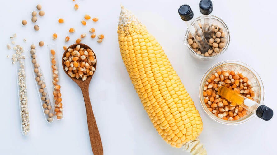 corn comparison x