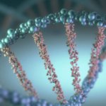 dna concept x