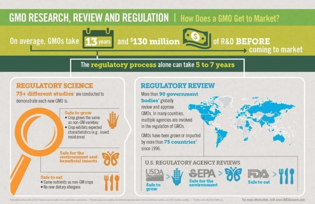 GMO research, review and regulation
