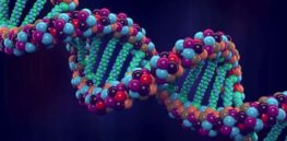 genome project–write scientists create synthetic human genomes