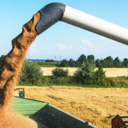 harvesting x