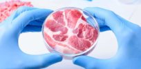 lab grown meat