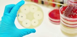 antimicrobial resistance the rise of global superbugs