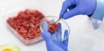 laboratory grown meat to go mainstream in ten years wrbm large