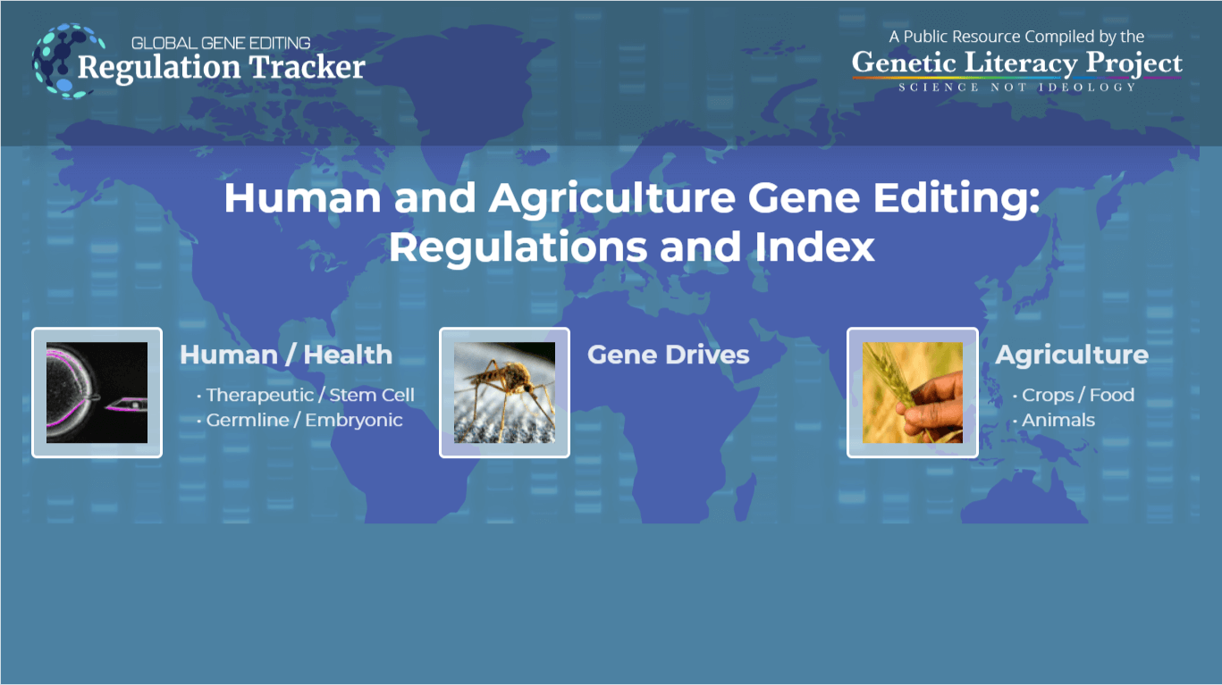GLP’s Global Gene Editing Regulation Tracker and Index: Will politicians embrace innovation or fear?