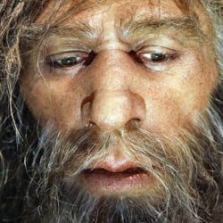 hi neanderthal