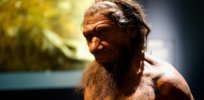neanderthalnhm paulhudsonccby