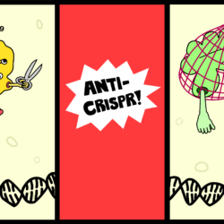 anti crispr comic