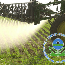 getstoredimage