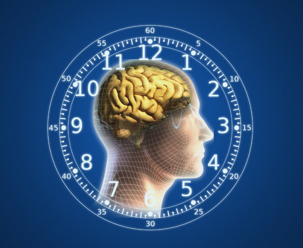 Manipulating our internal clocks could lead to treatments for mood  disorders, obesity—and even aging | Genetic Literacy Project