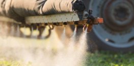 Viewpoint: Pesticide residues on food could be 100,000 times higher—and still wouldn't harm your health