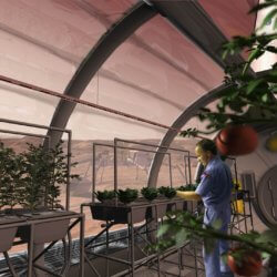 potatoes in space greenhouse