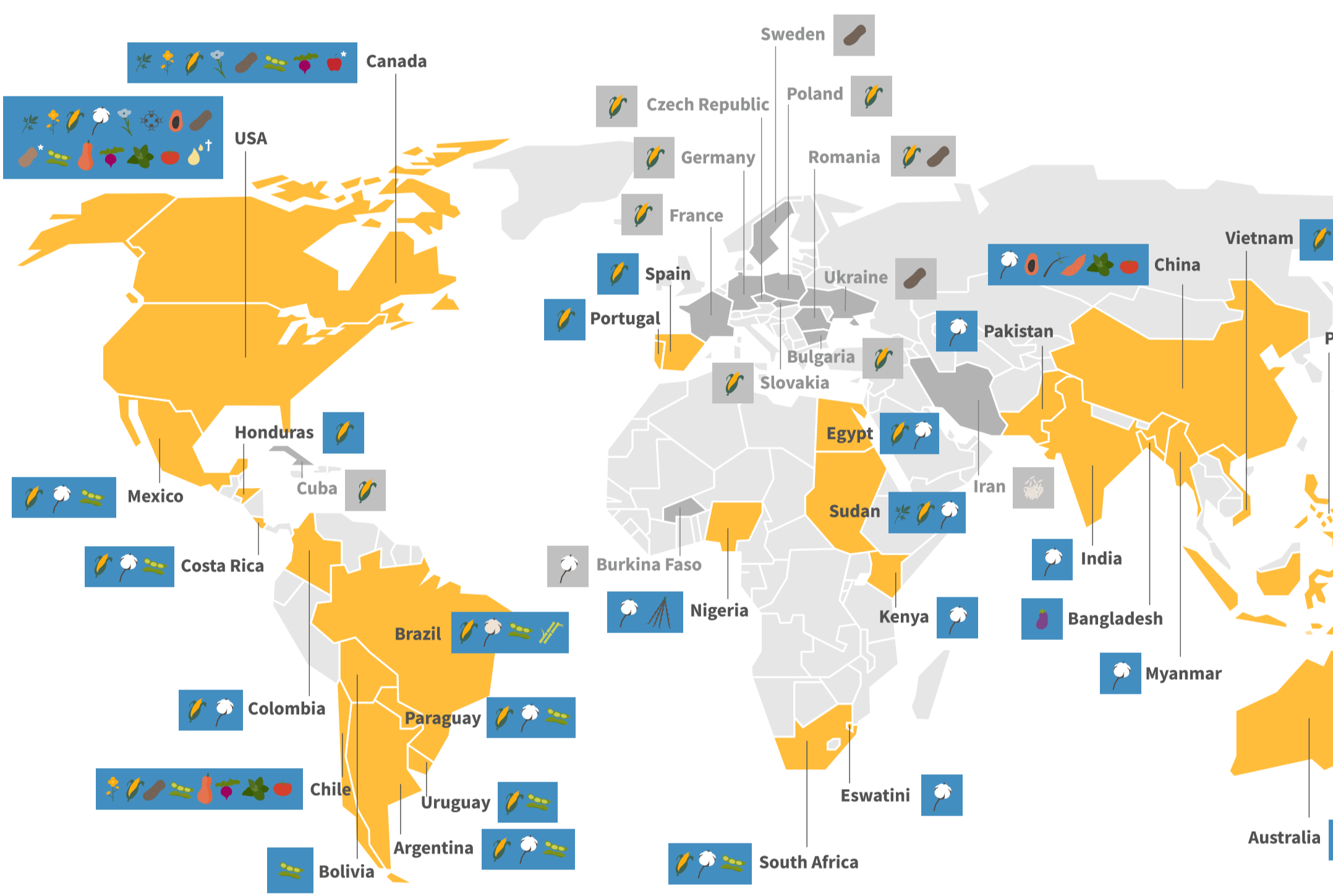 where-are-gmo-crops-grown-glp-infographics-document-the-global-growth