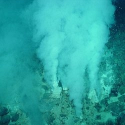 hydrothermalvent white smokers