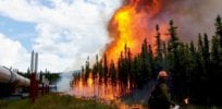 photo aggie creek fire philip spor x landscape