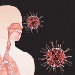 ab fcce e aa a a fa aefcc b coronavirus covid lungs body